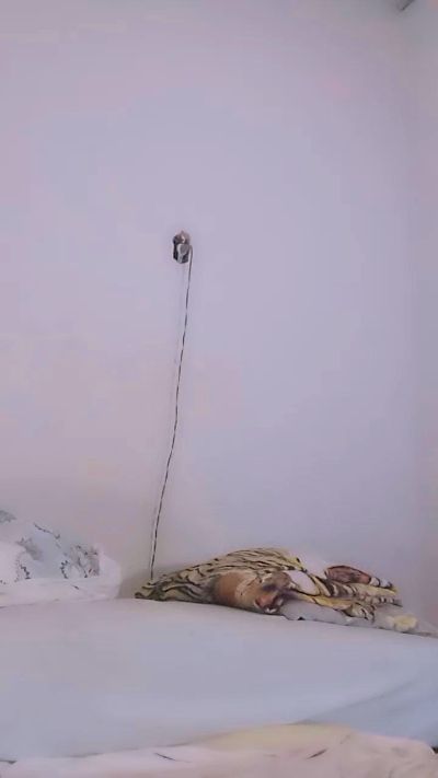 1YummyxDanda's Profile