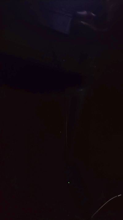 Alexxxis0's Profile