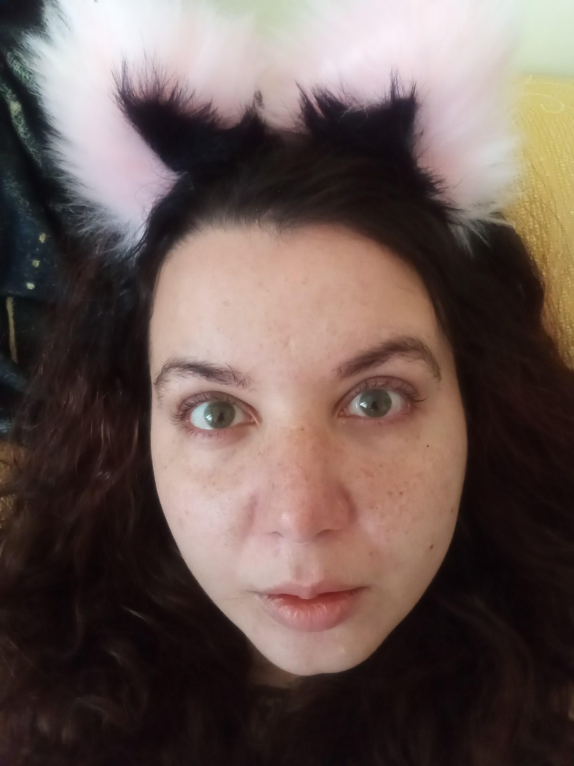 AliceBehind's Profile