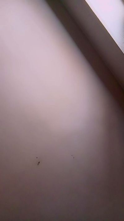 Audrie_78's Profile