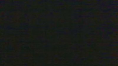 BearContraste's Profile