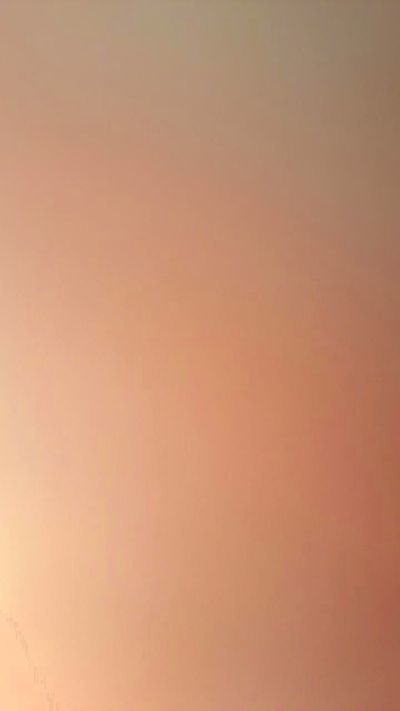 Ctdoc's Profile