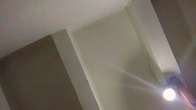 CzechBred's Profile