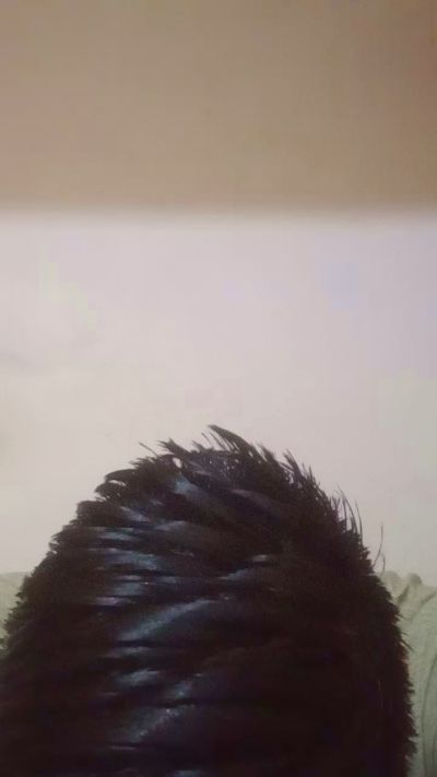 DiazMex26's Profile