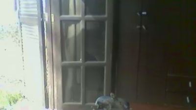 Donramonero78's Profile