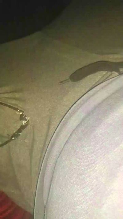 ELREYDELMAR45's Profile