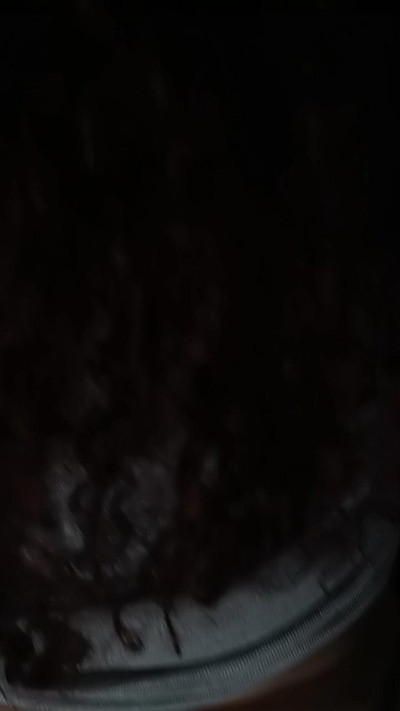Martubbw's Profile