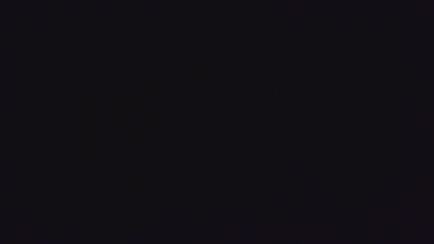 Owl_Psy's Profile
