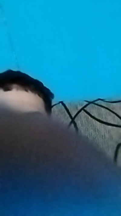 Panchoto892's Profile