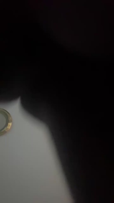 Pjthedogman's Profile