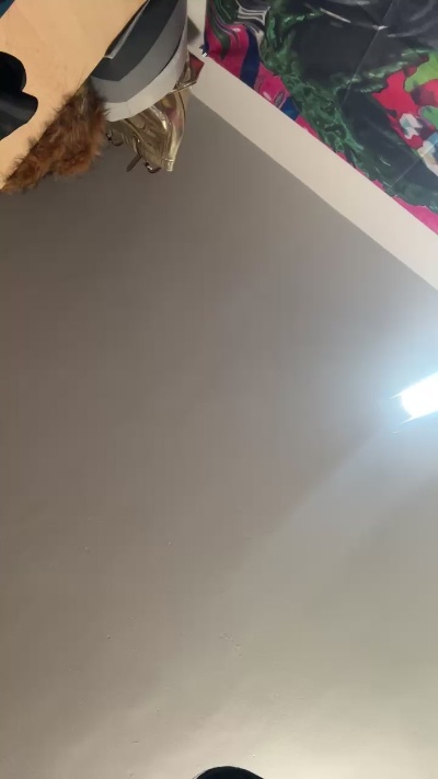 Sheseduxx's Profile