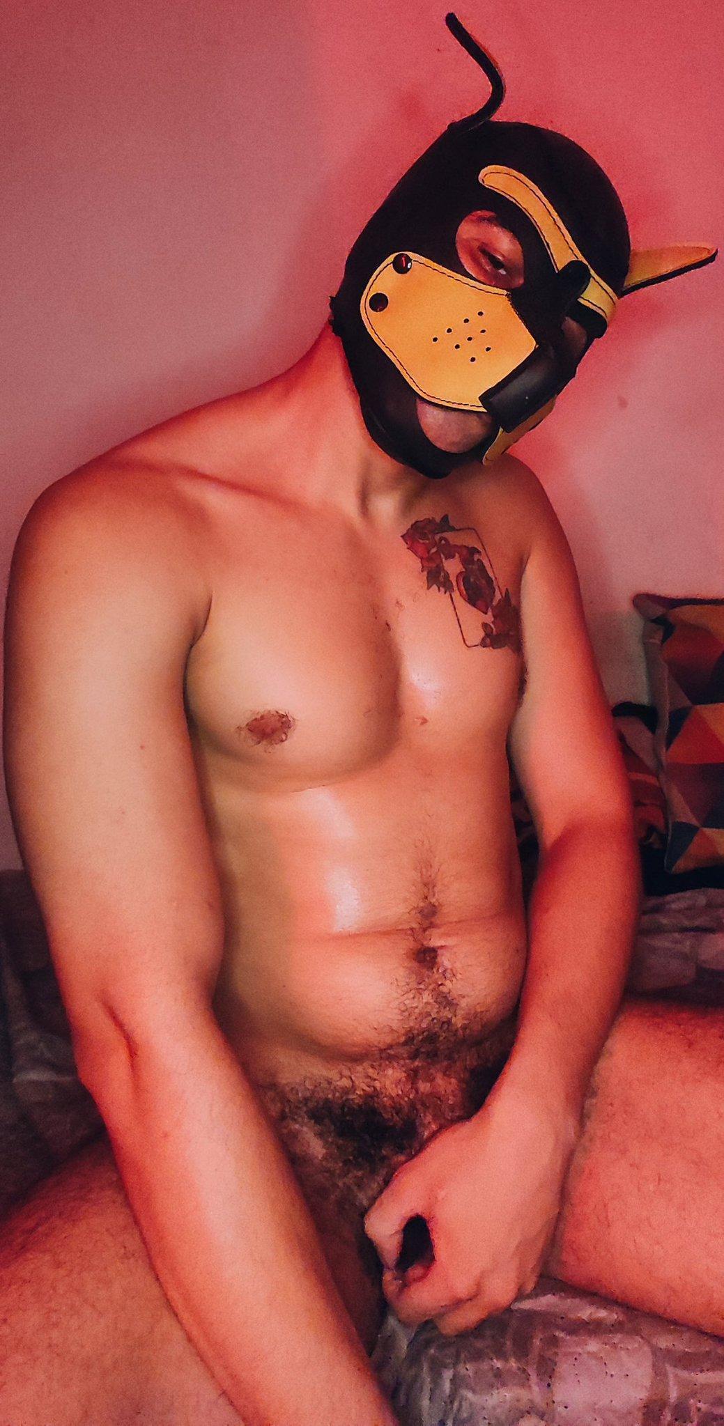badpuppy96's Profile