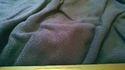 bigant0xl's Profile