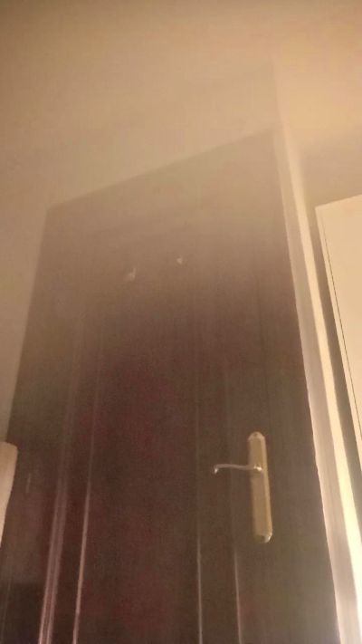 blueasbestos1's Profile