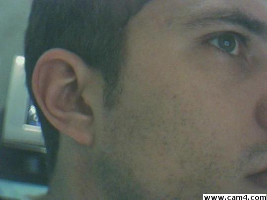 borcatto's Profile