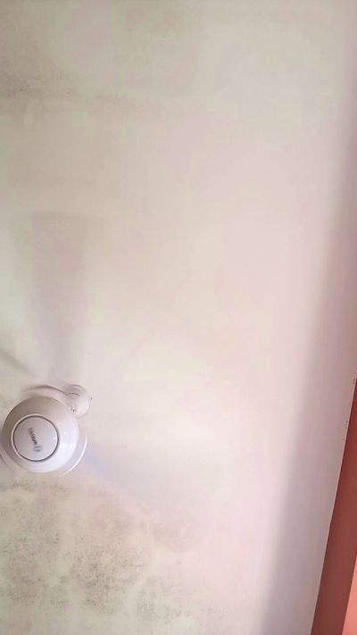 cristhian2218's Profile