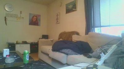 david43cock4's Profile