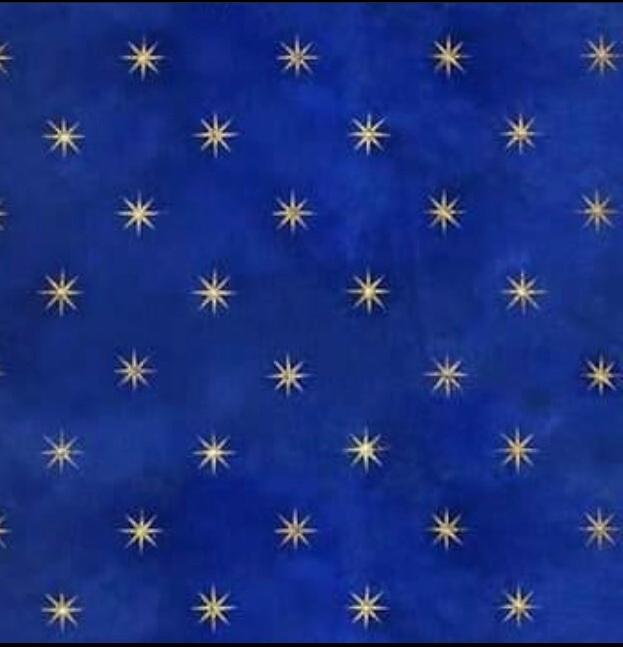 federicocamo's Profile
