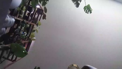 guy236's Profile