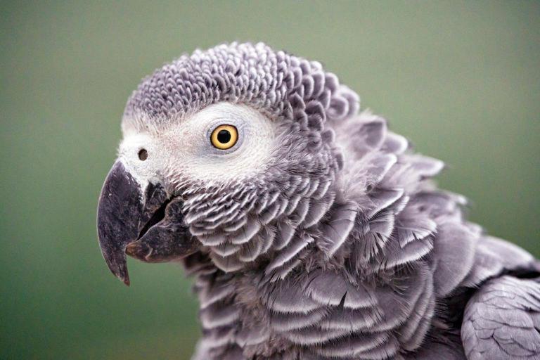 kaunakakai01's Profile