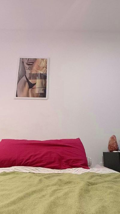 latinomulat1's Profile
