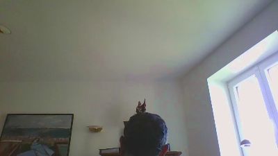 latinostuttg's Profile