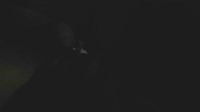 leonjllxv's Profile