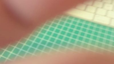 libidoys's Profile
