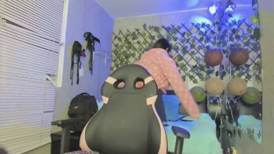 littlecat_1's Profile
