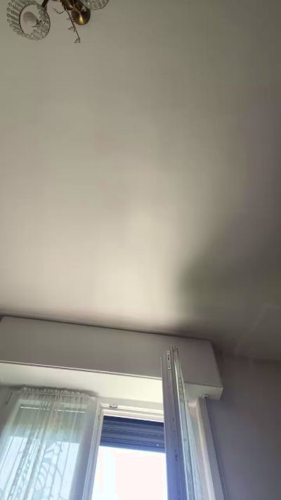 loomshab4's Profile