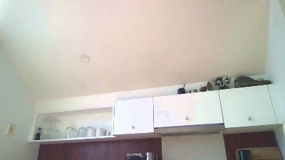 mansaf686's Profile