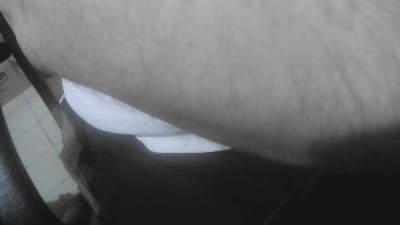 nosoloparave's Profile