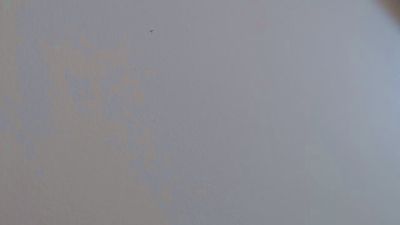 notarealman2025's Profile