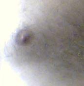 orsonek's Profile