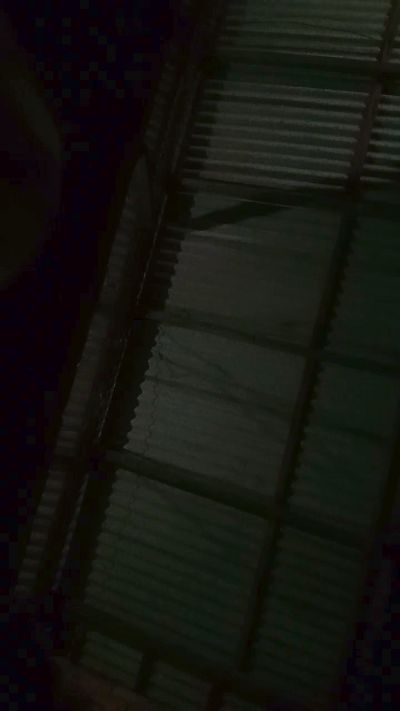 pimentinha54's Profile