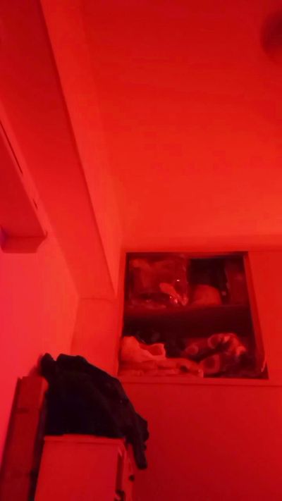 poisondaysi1's Profile