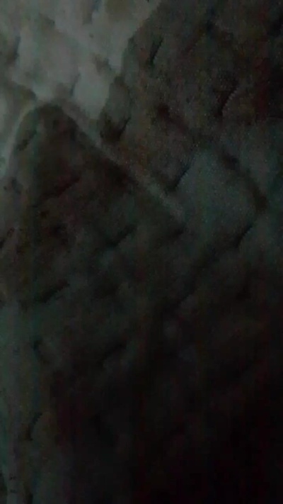 schranz33's Profile
