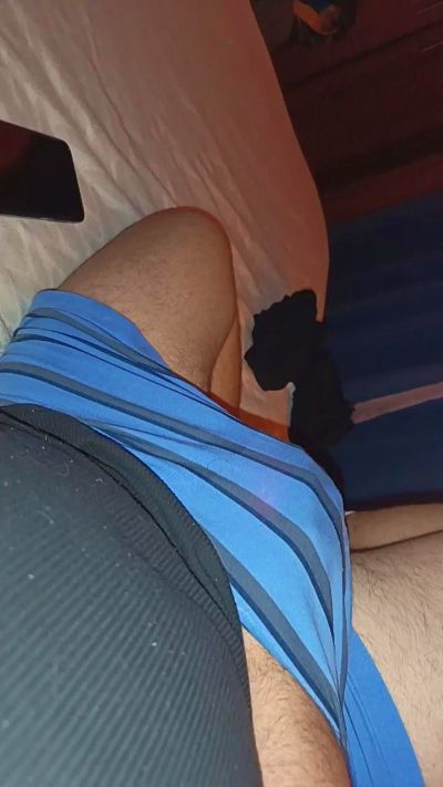 sebalv3's Profile