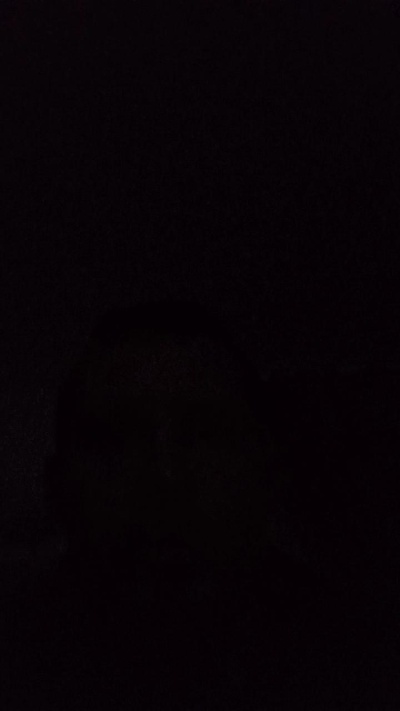 taz19941's Profile